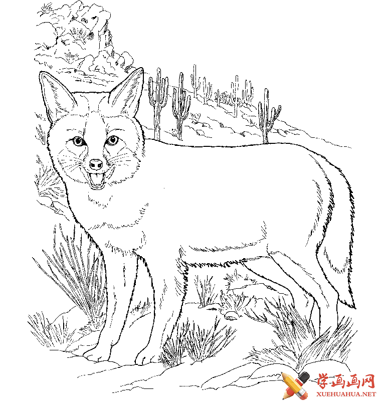 狐狸简笔画图片大全