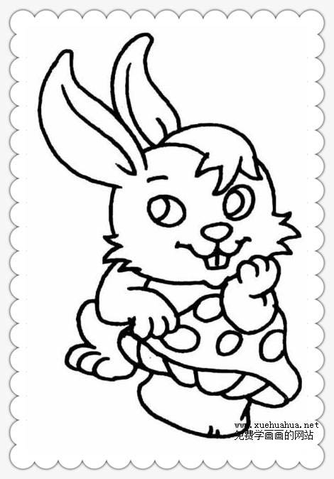 兔子简笔画大全_可爱小兔子图片合集(一)