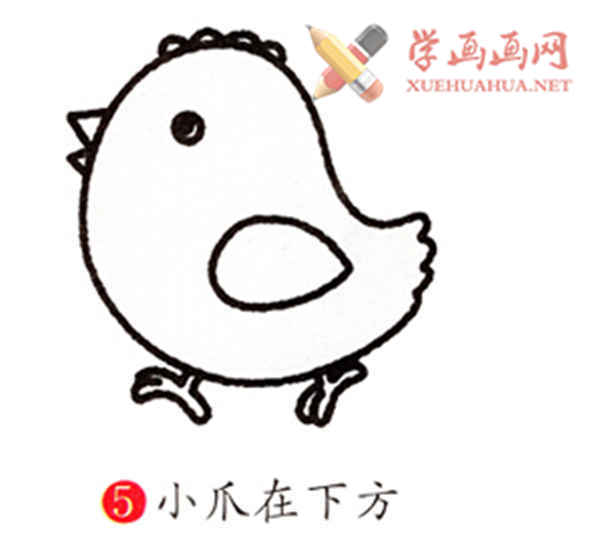 简笔画教程:怎么画小鸡