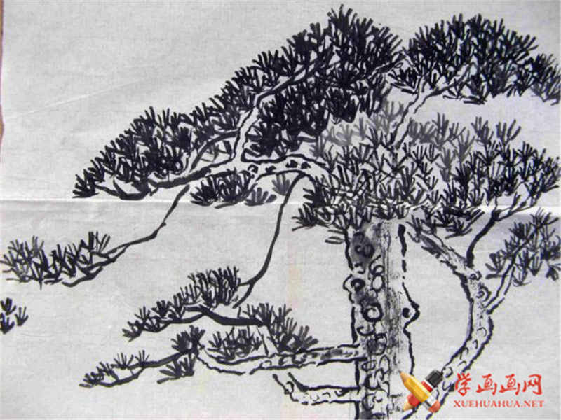 儿童画植物,儿童中国画松树-露西学画画