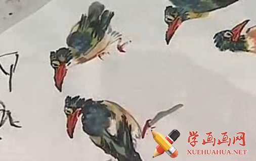 跟徐湛学国画入门教程46翠鸟的画法