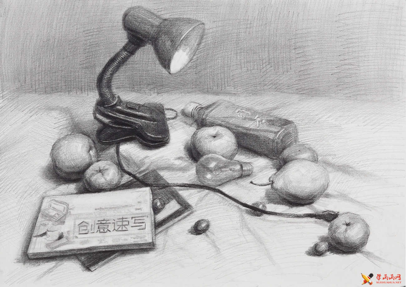 18幅素描静物范画图片