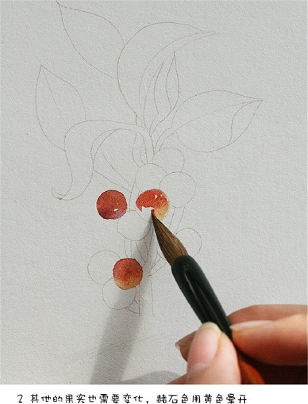 樱桃的水彩画怎么画?水彩樱桃教程