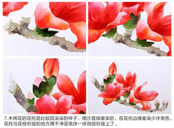 高清看图七,水彩画画木棉花教程:进行花蕊的绘画,首先我们需要画出的