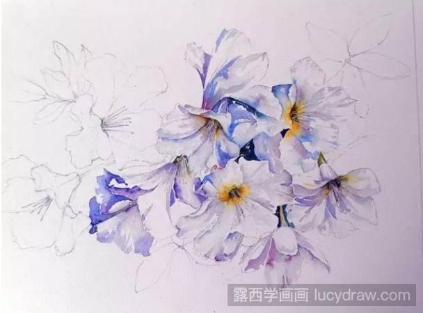 水彩画杜鹃花教程