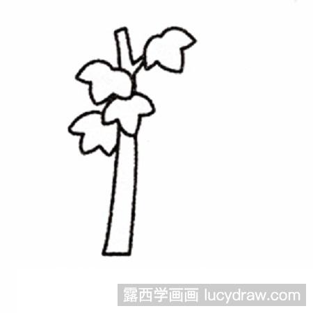 儿童画教程:教你画枫树