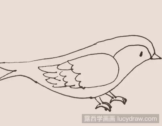 你的黄鹂鸟画的怎么样呢?你的黄鹂鸟看着能发出悦耳的鸣声吗?