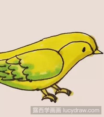 黄鹂鸟简笔画教程