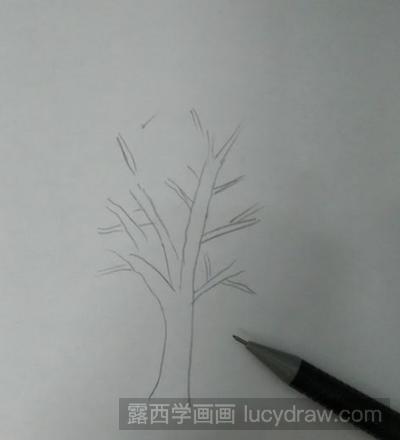 香樟树儿童画教程