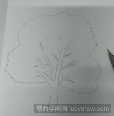 香樟树儿童画教程