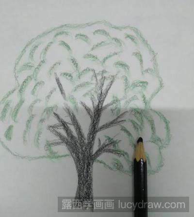香樟树儿童画教程