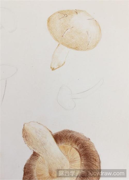 香菇彩铅画教程