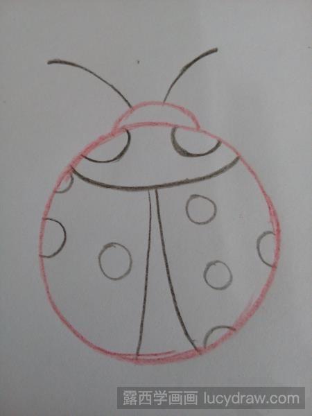 儿童画教程:教你怎样用彩色铅笔画七星瓢虫