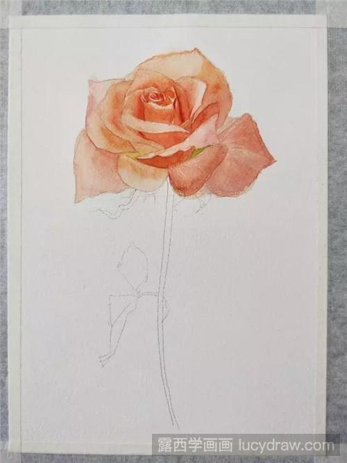 玫瑰花水彩画教程