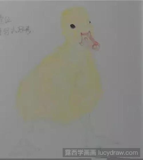 小鸭子彩铅画教程