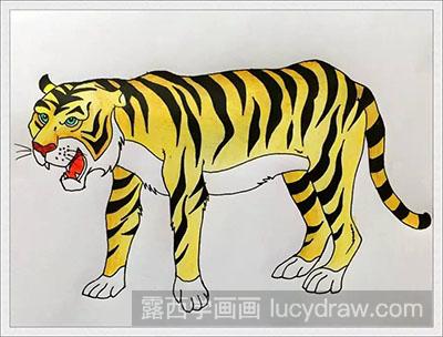 用黄色,金色,棕色来涂老虎的头部,背毛,四肢和尾巴.大老虎就完成啦!