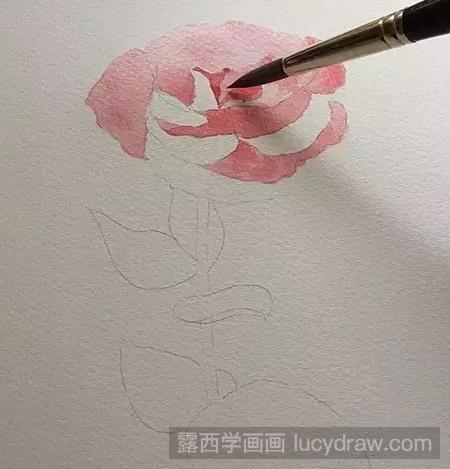 水彩画教程:桔梗花的水彩画法