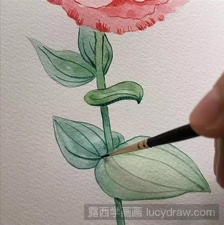 水彩画教程:桔梗花的水彩画法