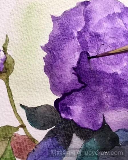 紫色月季花怎么画-露西学画画