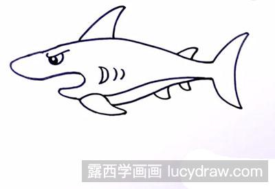 怎么画儿童画鲨鱼-露西学画画
