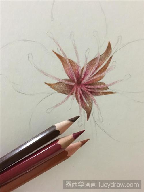 一朵樱花彩铅画教程-露西学画画