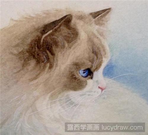 布偶猫水彩画