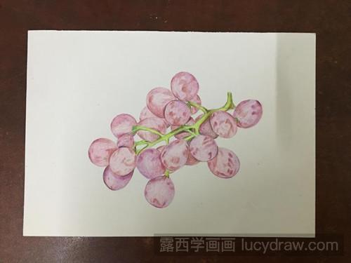 红提彩铅画教程