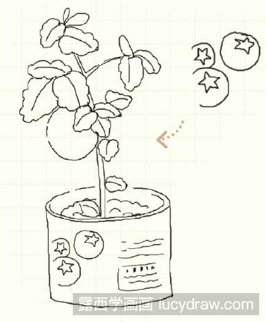 儿童画教程:怎么画番茄