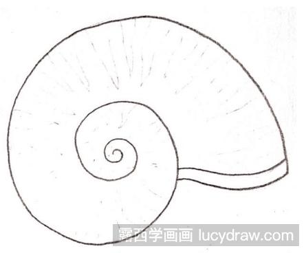 儿童画小海螺的画法-露西学画画