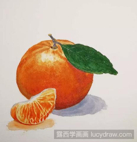 橘子水彩画怎么画水彩画练习步骤分享