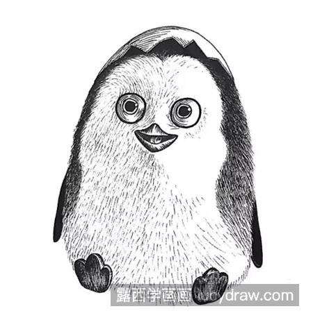 简单的素描企鹅画法是什么?