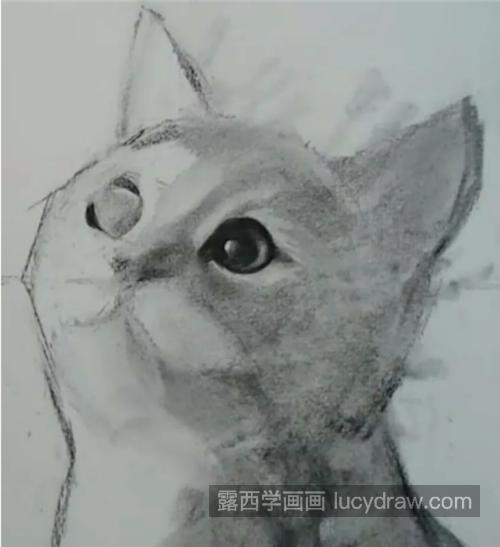 怎么画素描猫咪小猫的素描画法是什么