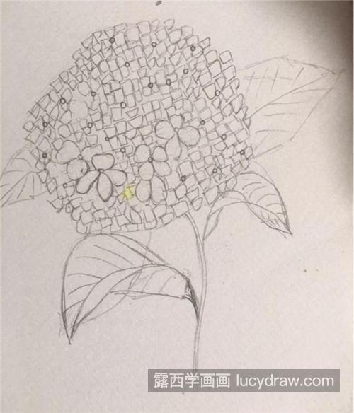 这朵绣球花临摹自《繁花盛开》,一本讲色彩笔花卉绘画技法的书.