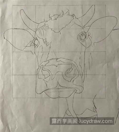 生肖牛怎么画牛的详细彩铅画步骤有哪些