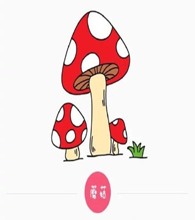 蘑菇的画法简笔画