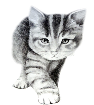 派罗朗格铅笔画猫作品集