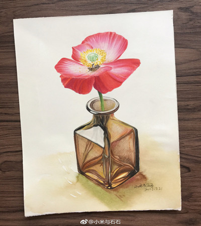可临摹：六种花与花瓶的彩铅画作品欣赏