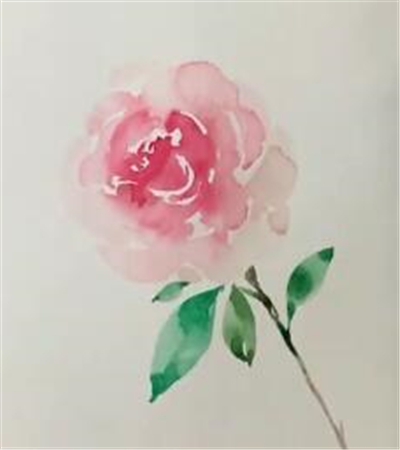 水彩画简单玫瑰花画法 露西学画画