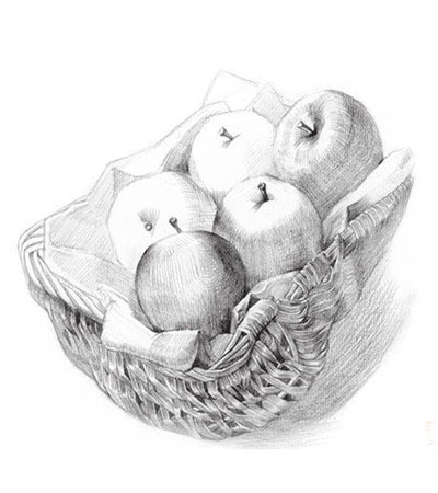 篮子里的水果素描图片