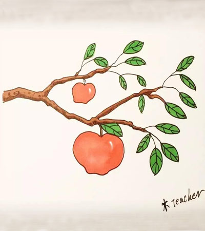 苹果种子图片简笔画图片