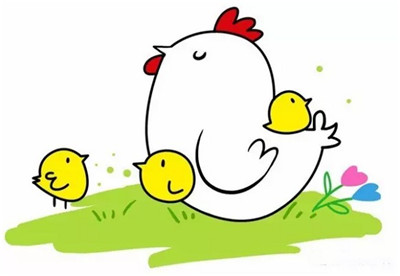 简笔画教程:教你画小鸡宝宝和鸡妈妈小鸡问妈妈:妈妈～我的爸爸是谁呀