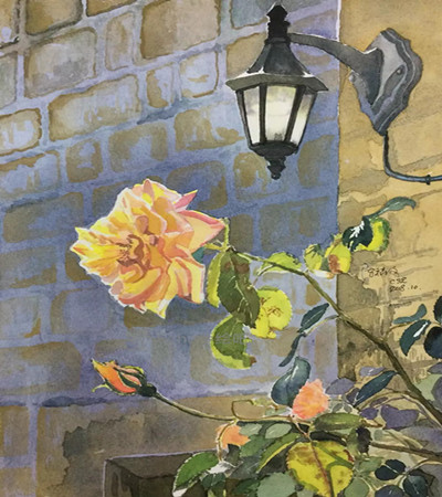 水彩画作品：最多情玫瑰花，一起来共赏吧!