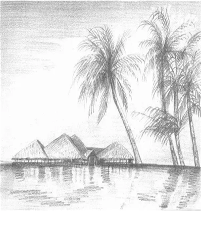 椰子树怎么画?海边风景的素描步骤有几步?