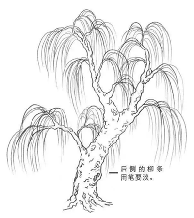 手绘柳树的画法图片