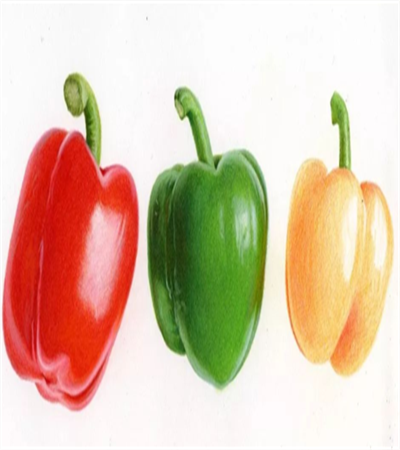 彩色辣椒怎么画？彩椒的彩铅画法是什么？