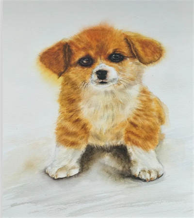 小奶狗怎么画？黄狗狗的水彩画法是什么？