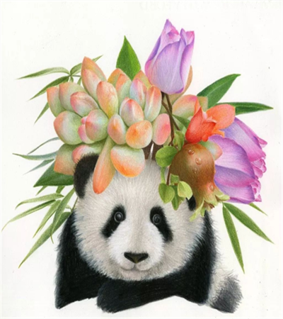 熊猫怎么画？有哪些绘画过程？