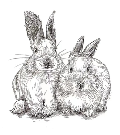 小兔子怎么画？教你画两只兔子