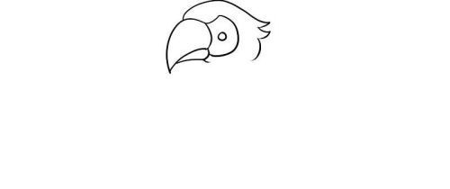 好看的彩色小鹦鹉简笔画怎么画 漂亮又简单的小鹦鹉简笔画绘制教程带图