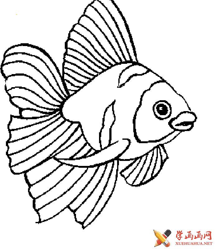 儿童学画画：鱼的简笔画图片